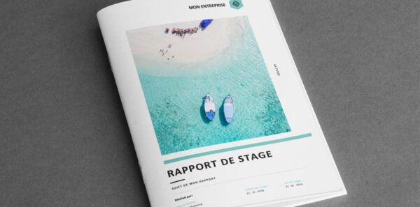 Sunny : Modèle de rapport de stage Word – Image 3