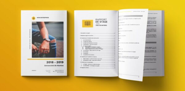 rapport_de_stage_gratuit