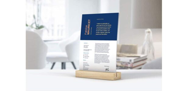 Modèle de CV Powerpoint – Image 2